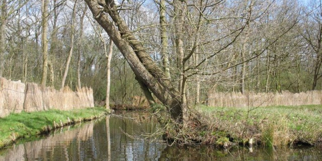 Giethoorn.nu Logo