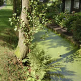 Vakantieboerderij Smit Giethoorn